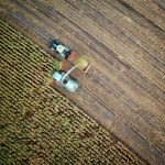 科技助力春管 保障小麦丰产丰收